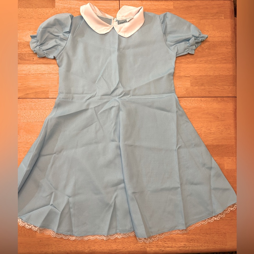 Alice In Wonderland Costume Blue Dress Girls Size XL